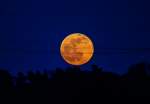 Der aufgehende Mond hier um 19.03 Uhr hinter Hochspannungsleitungen. - 04.04.2015