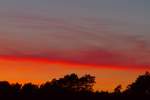 Das fahle Beige, das zur Zeit in der Natur vorherrscht wird durch ein farbenfrohen Sonnenuntergang abgelst. - 03.03.2013
