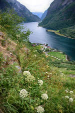 Die Nærøyfjord von Seltuft aus gesehen (Norwegen).
