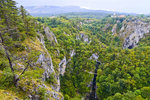 Landschaft an den Höhlen von Škocjan in Slowenien.
