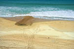 Blick auf den riesigen Sandstrand südlich von El Cotillo auf der Insel Fuerteventura in Spanien.