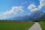 Blick über die sommerlichen Felder bei Flaurling in Tirol auf das Mieminger Gebirge mit der 2662 m.ü.A. liegenden Hohen Munde. (30.07.2020)