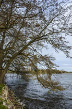 Am Ufer der Norburger See auf der Insel Alsen (Nordschleswig). Aufnahme: 18. März 2024.