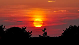 Sonnenuntergang/Abendstimmung bei Bad Mnstereifel - 11.06.2010