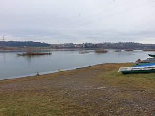 Iller an der L2009 bei Lautrach im Allgu (22.01.2025)