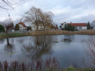 Dorfteich von Glaubitz, Lkr.