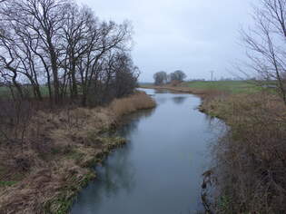 Bach Weinske bei Polbitz, Landkreis Nordsachsen (16.12.2024)