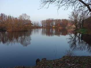 Mhlteich bei Wlkau, Landkreis Nordsachsen (13.12.2024)