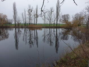 Dorfteich bei Maxdorf, Oranienburger Land (12.12.2024)