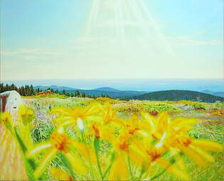  Brockensommerheidenweite , Gemlde: l, lpastell auf Baumwolle, 2025, 130 x 160 cm  Das Bild zeigt eine Aussicht vom Gipfelrundweg auf dem Brocken in Richtung Sdosten ber