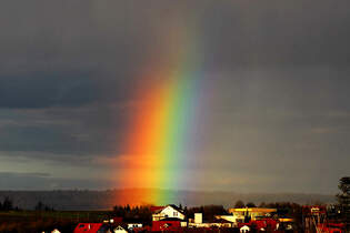 Regenbogen einer abziehenden Regenfront ber Zell unterm Aichelberg 05.01.2014