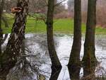  Land unter! , heisst es auf einer Wiese im Rheiner Stadtteil Bentlage, 22.02.2025