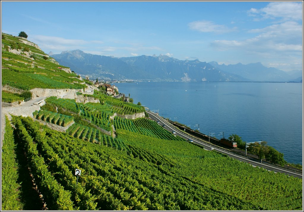 Abendstimmung in den Weinbergen des Lavaux.
(31.08.2011) 