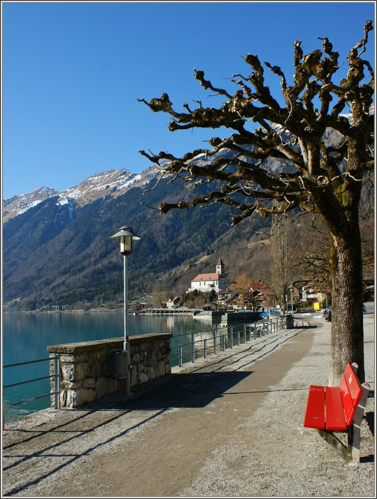 Am Uferweg des Brienzersee.
(09.02.2011)
