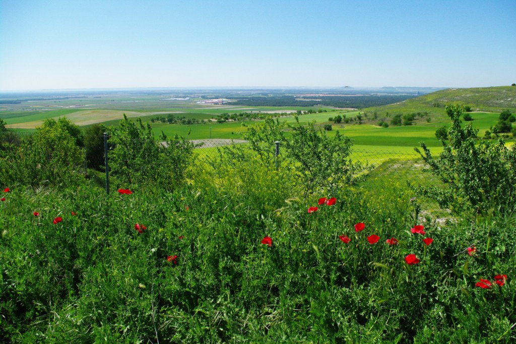 Aragon, Aussicht von Portillo (20.05.2010)