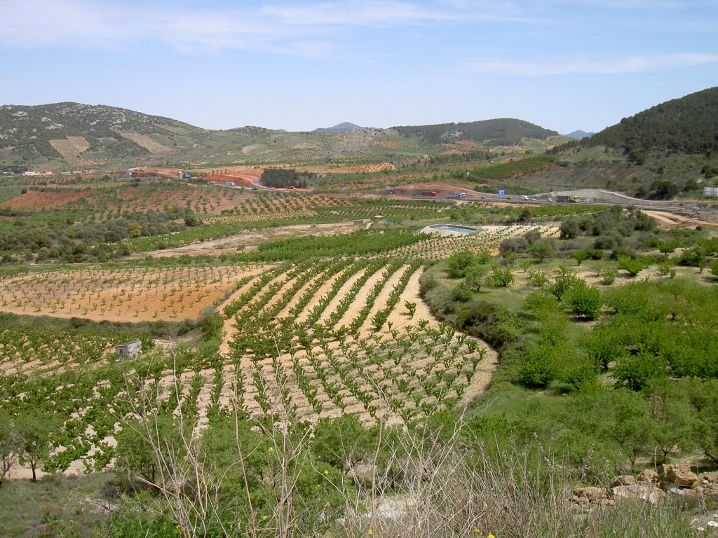 Aragon, Bezirk Calatayud (17.05.2010)