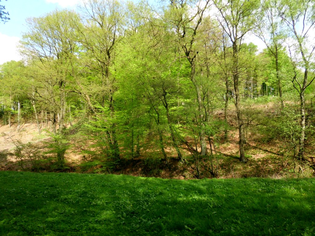 Blick ins Grne in Wuppertal-Linde.(9.5.2013)