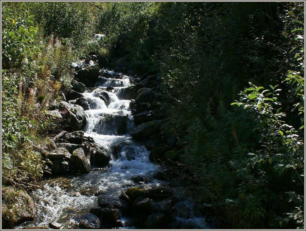 Ein Bergbach von vielen in Graubnden.
(11.09.2011)