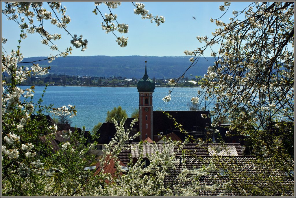 Frhlingsstimmung in Allensbach am Bodensee.
(07.04.2011)