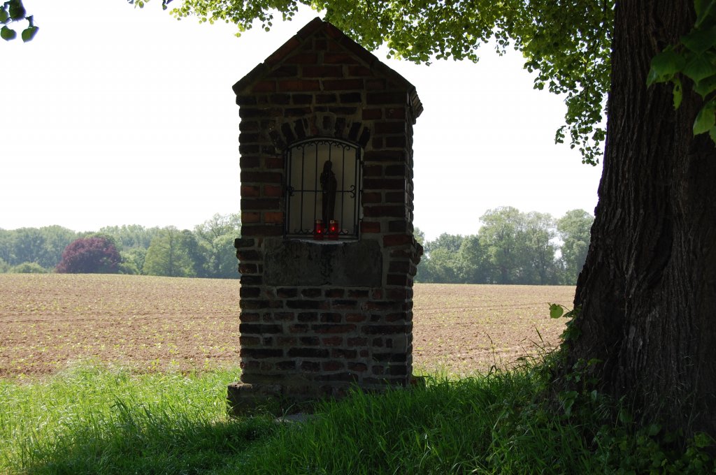 Heiligenstock in Vellrath. 23.5.2010