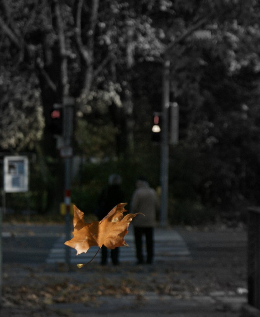 Herbstzeit
(November 2009)