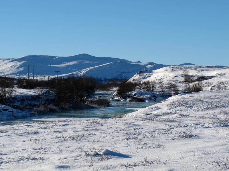 Im Dovrefjell; 30.10.2012