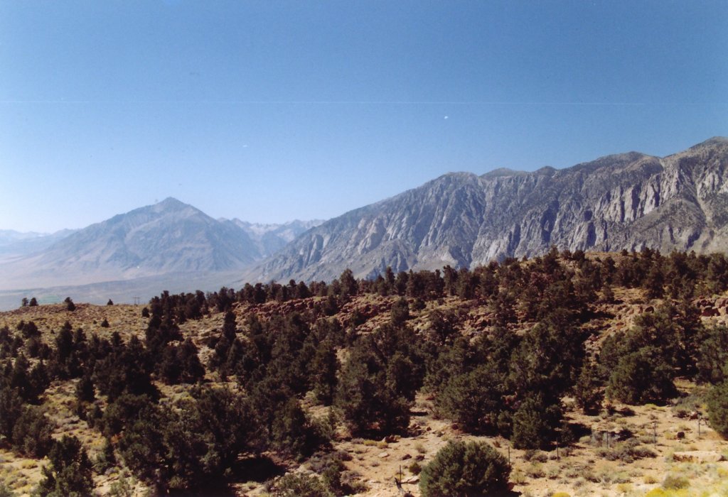 Kalifornien, Eastern Sierra (17.03.2003)