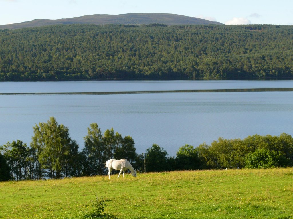 Loch Rannoch am 25.07.2009