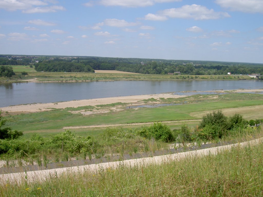 Loire bei Chaumont (30.06.2008)