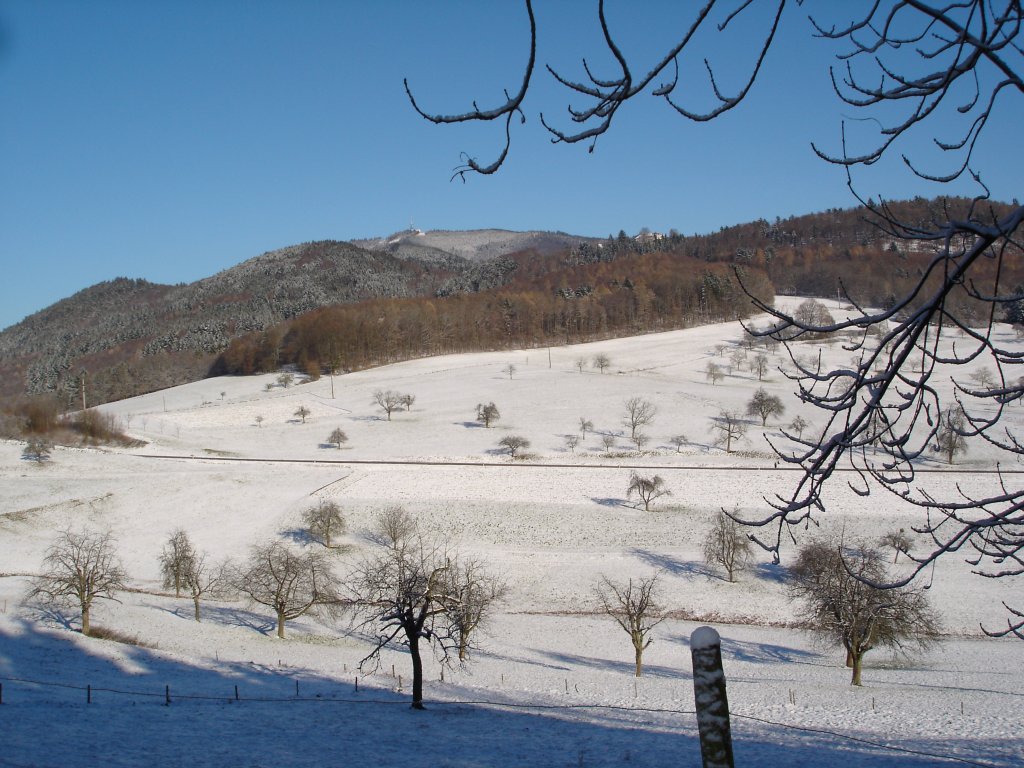 Markgrflerland-Blick zum Hochblauen,