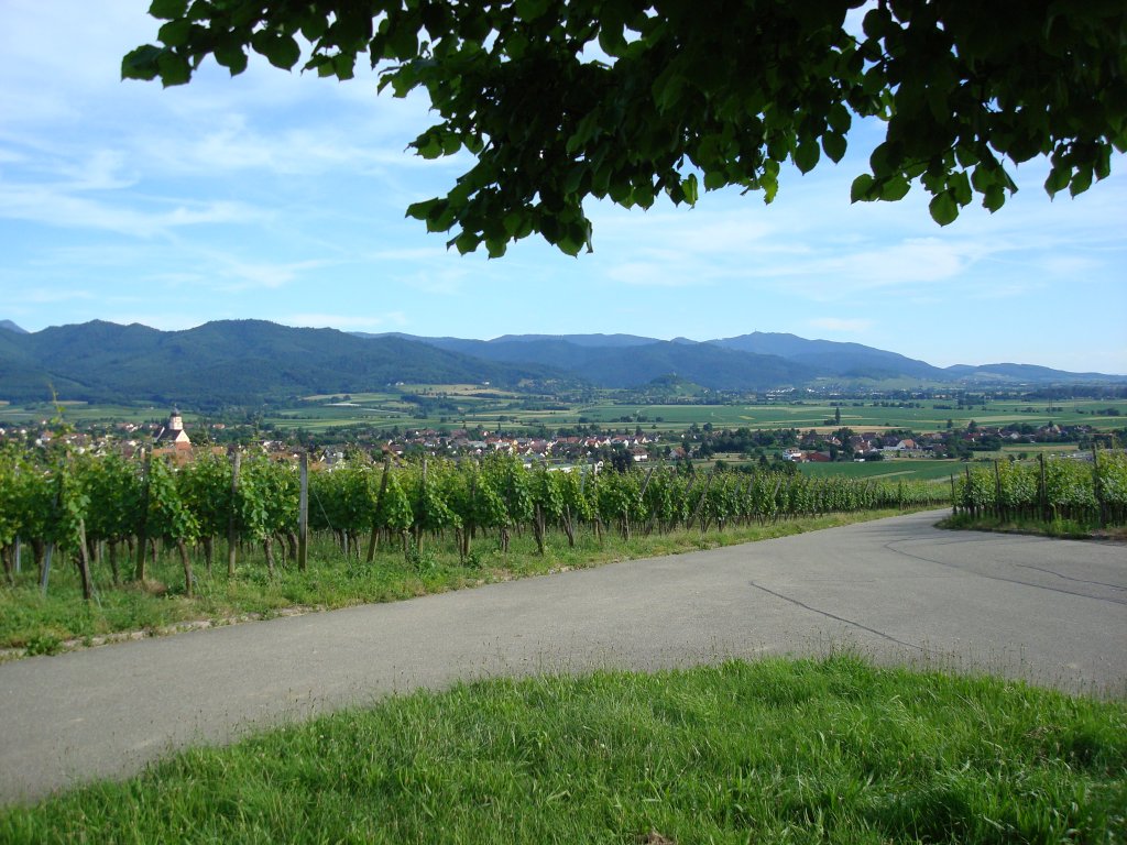 Markgrflerland,
Blick in Richtung Staufen und den Schwarzwald,
2008 