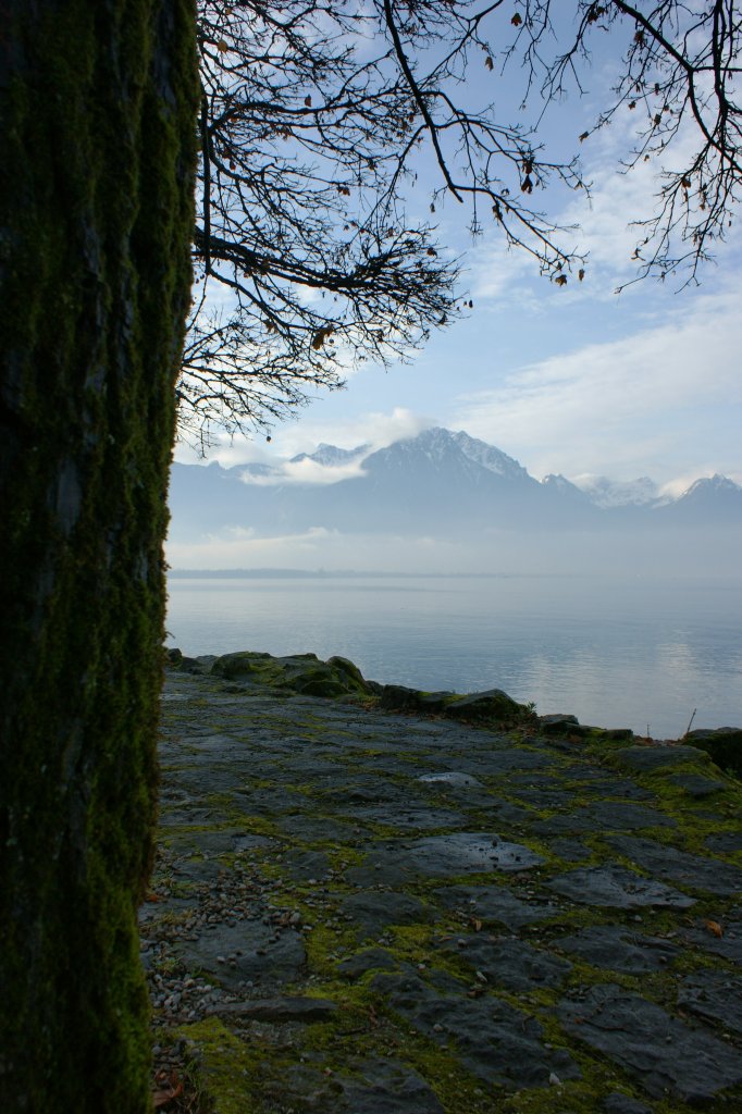 Milder Januartag am Genfersee.
(13.01.2011)