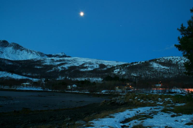 Morgens am Tyssfjorden; 03.11.2012