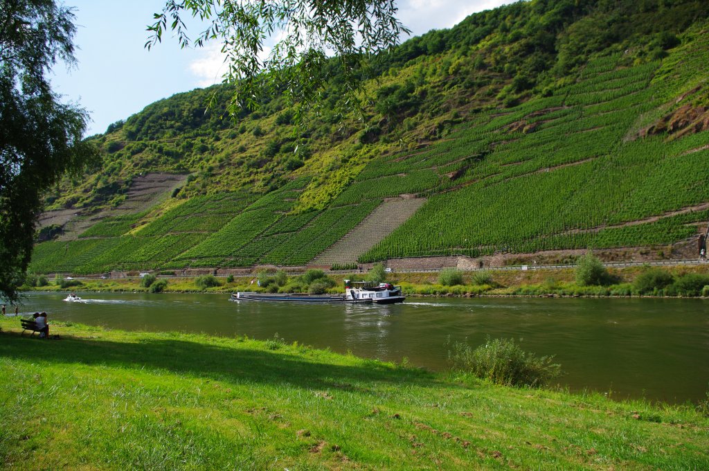 Mosel bei Ernst (22.08.2009)