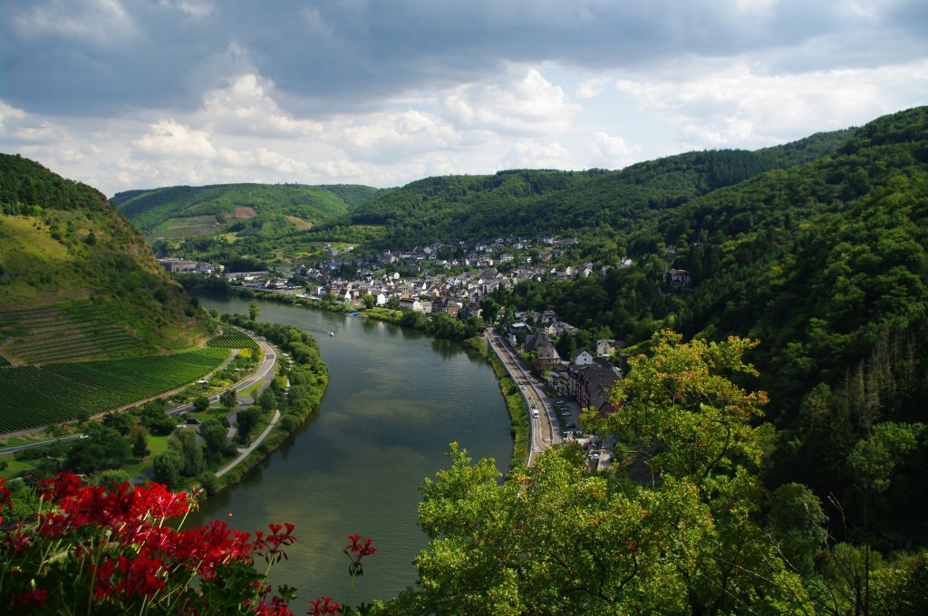 Moseltal bei Cochem (22.08.2009)