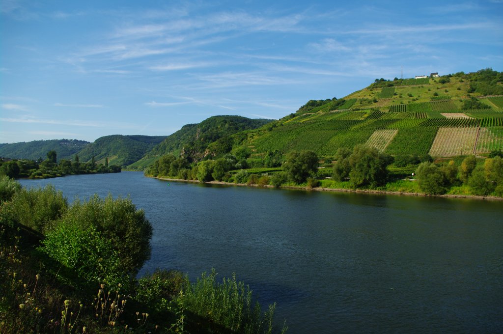 Moseltal bei Reil (23.08.2009)