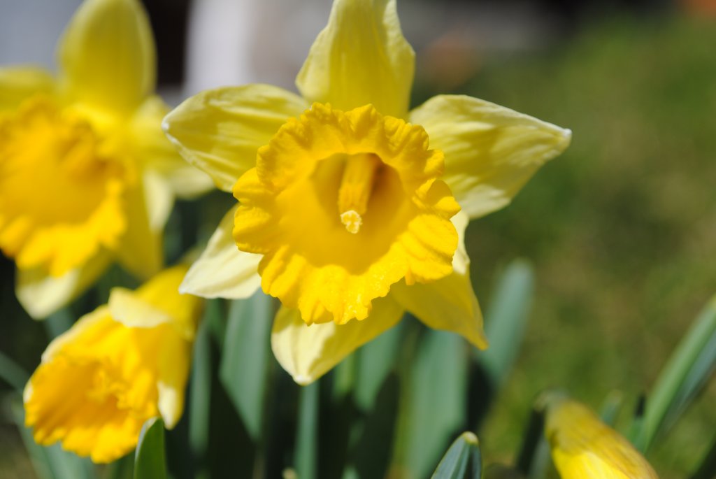 Ostern in Beatenberg 