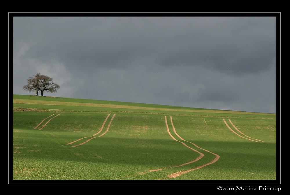 Rheinland-Pfalz - Felder im Hunsrck 