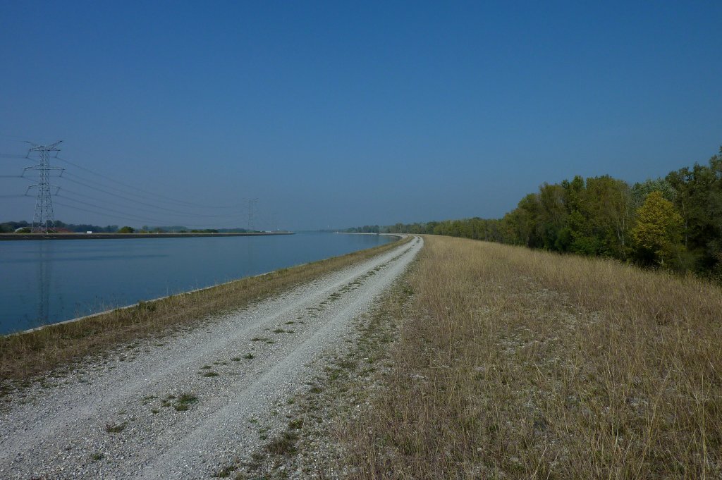 Rheinseitenkanal sdlich von Breisach, Sept.2011