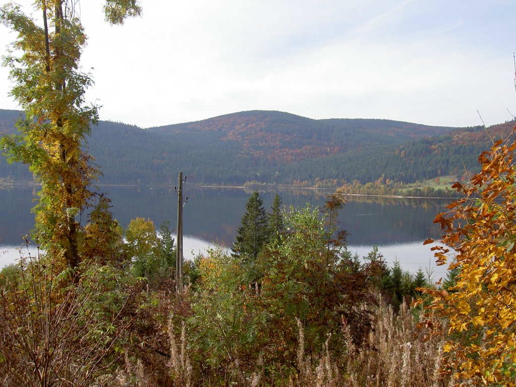 Schluchsee im Schwarzwald (12.10.2008)