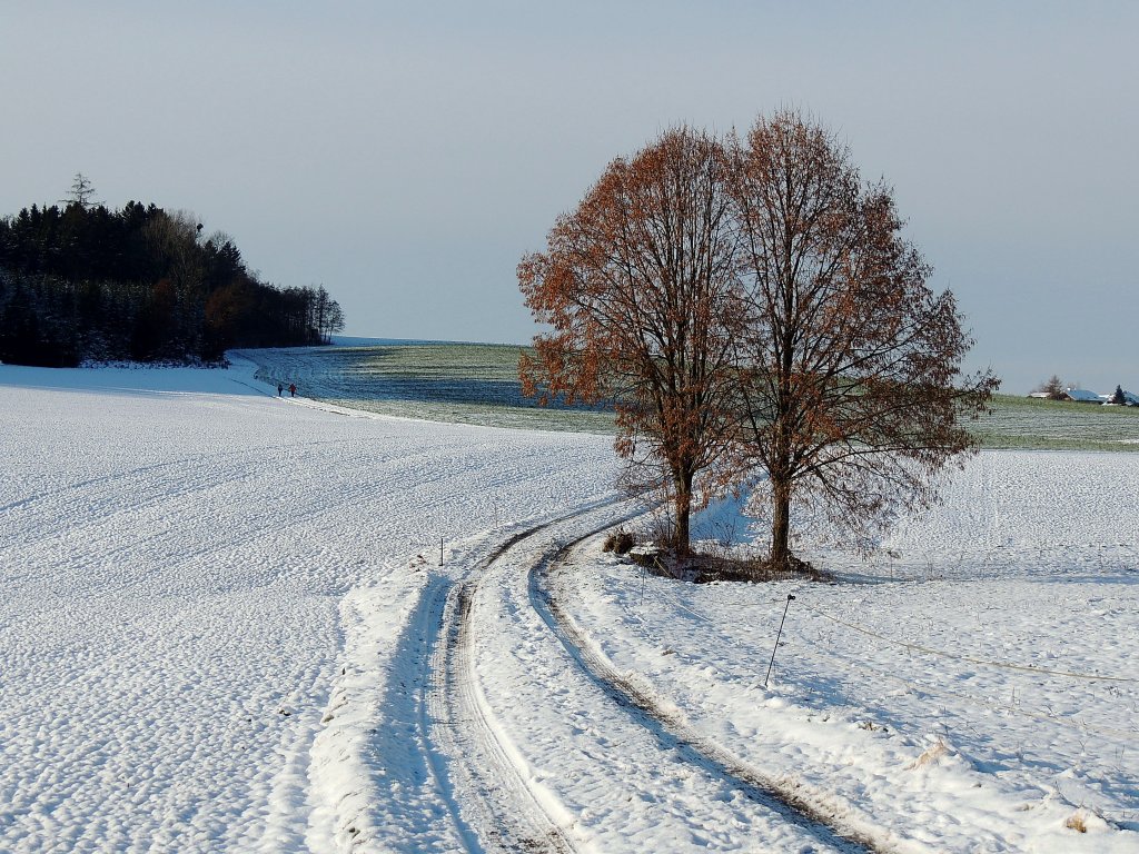 Schneebedeckter Wanderweg; 121209