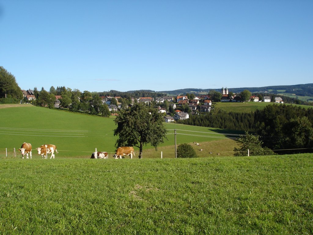 Schwarzwald,
Blick auf St.Mrgen
2008