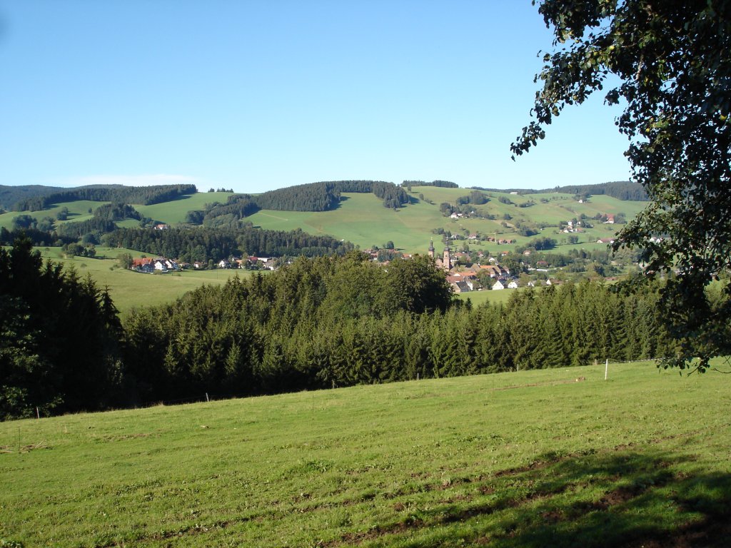 Schwarzwald,
Blick auf St.Peter
2006