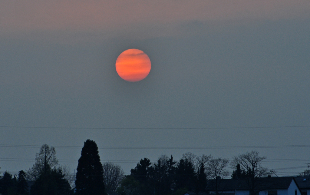 Sonnenuntergang am 16.04.2010 in der Eifel