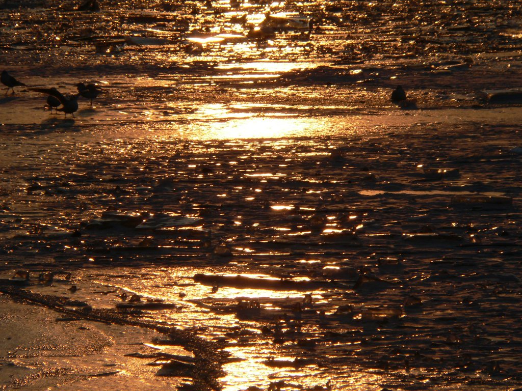 Sonnenuntergang auf der Binnenalster, 10.2.2012