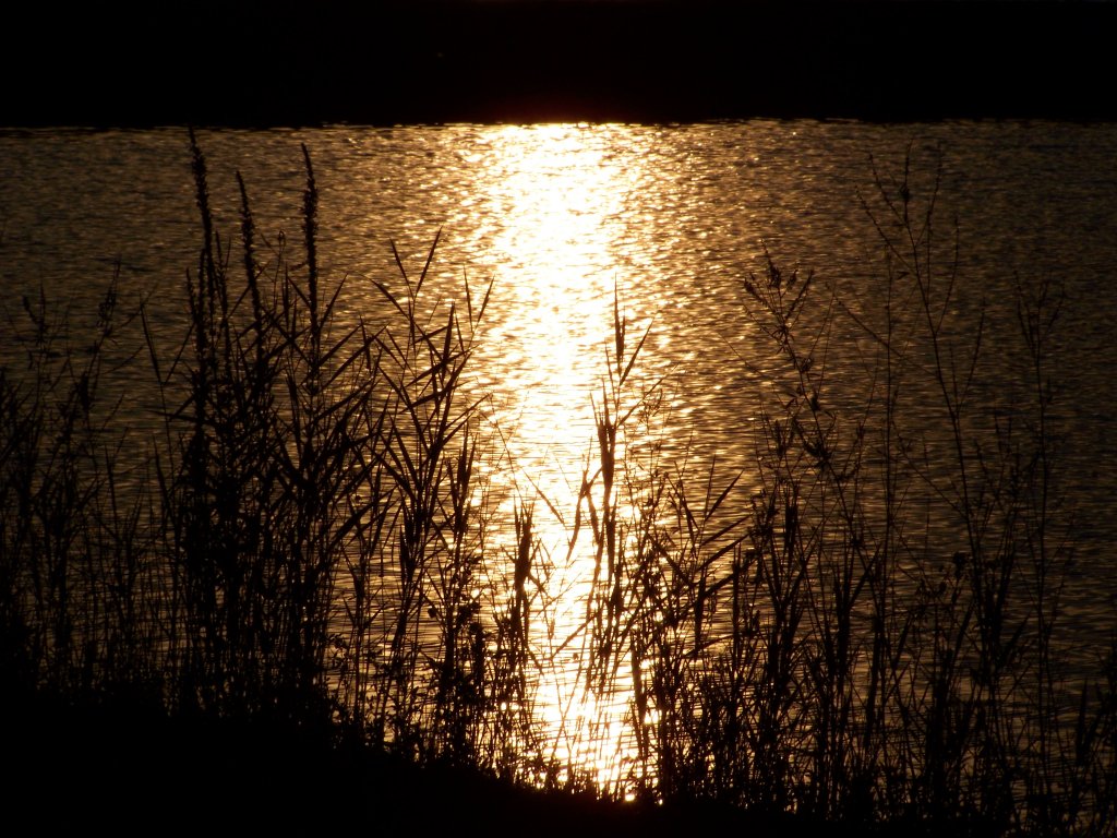 Sonnenuntergang Sommer 2010