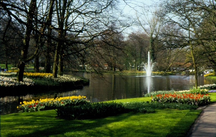 Tulpenblte 1990 im Keukenhof in den Niederlanden