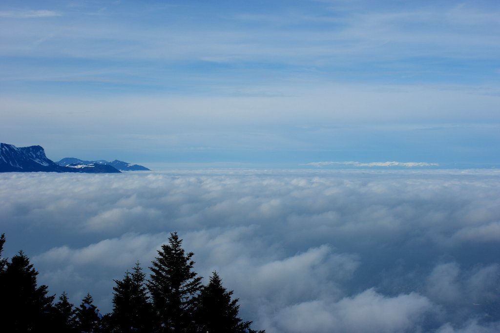 ber den Wolken ist die Freiheit grenzenlos!
(20.01.2010)