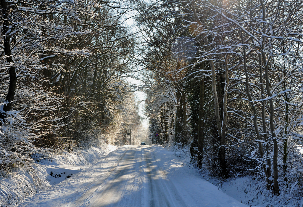 Waldstrasse im Steinbachtal - 08.12.2012