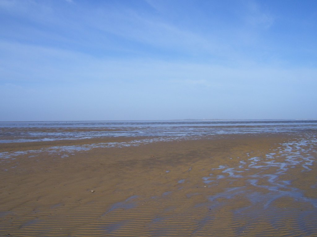 Wattenmeer bei Cuxhaven 8.3.2007